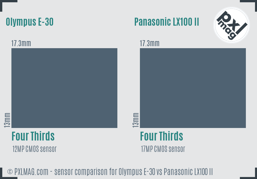 Olympus E-30 vs Panasonic LX100 II sensor size comparison