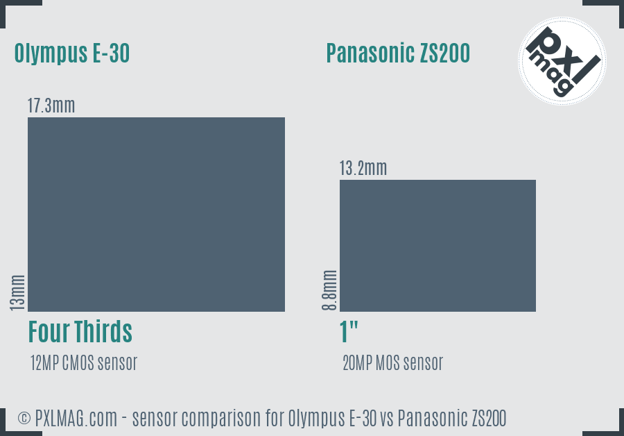 Olympus E-30 vs Panasonic ZS200 sensor size comparison