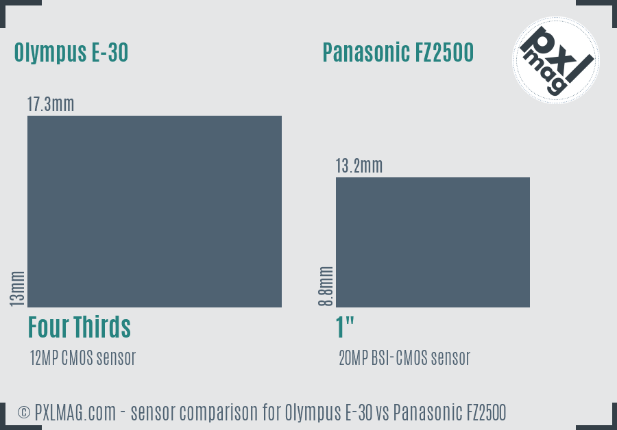 Olympus E-30 vs Panasonic FZ2500 sensor size comparison