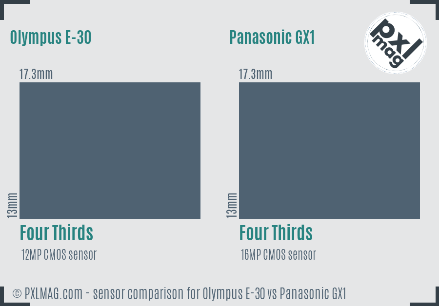 Olympus E-30 vs Panasonic GX1 sensor size comparison