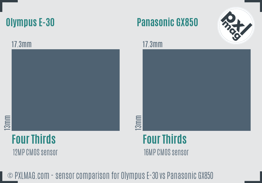 Olympus E-30 vs Panasonic GX850 sensor size comparison