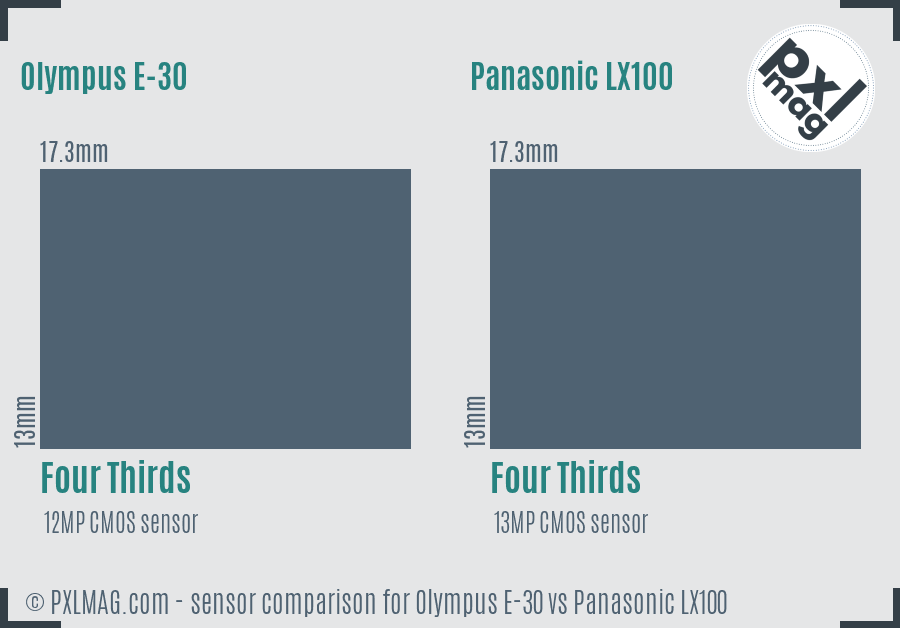 Olympus E-30 vs Panasonic LX100 sensor size comparison