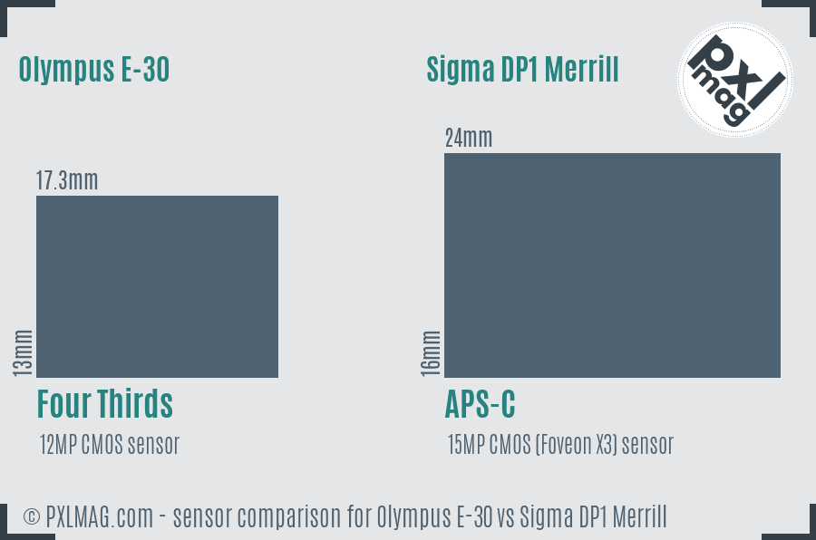 Olympus E-30 vs Sigma DP1 Merrill sensor size comparison