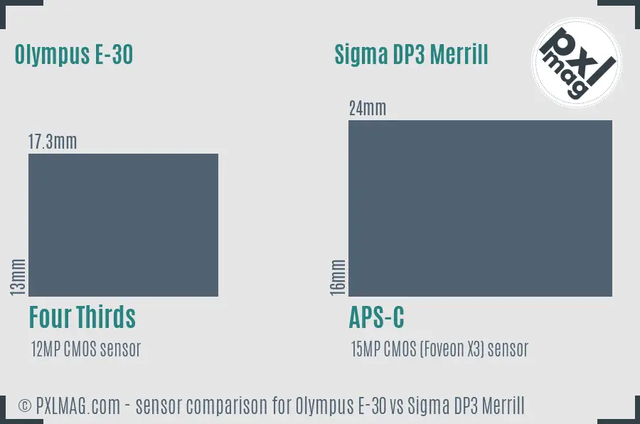 Olympus E-30 vs Sigma DP3 Merrill sensor size comparison Olympus E-30 vs Sigma DP3 Merrill sensor size comparison