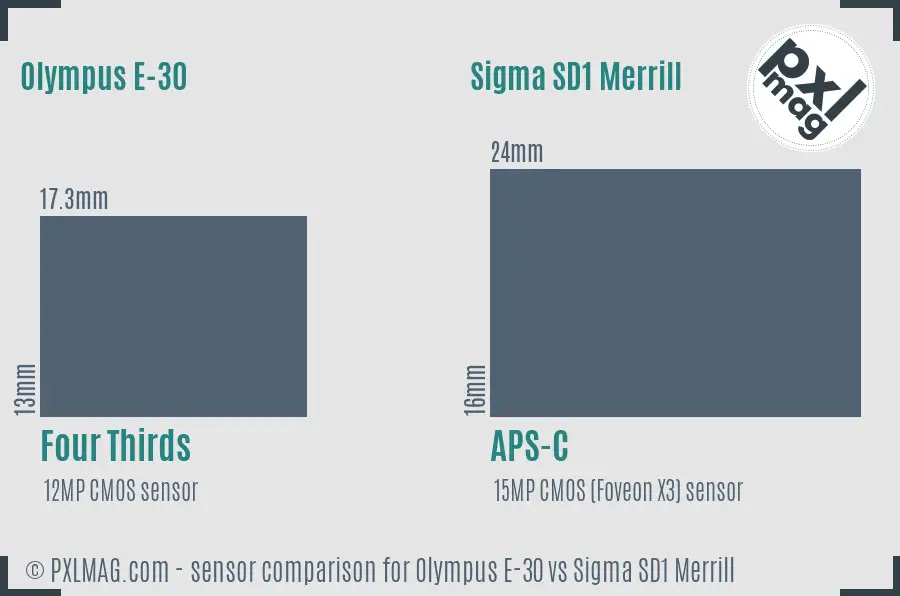 Olympus E-30 vs Sigma SD1 Merrill sensor size comparison