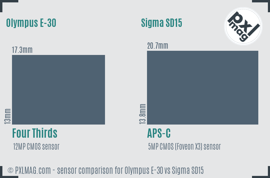 Olympus E-30 vs Sigma SD15 sensor size comparison