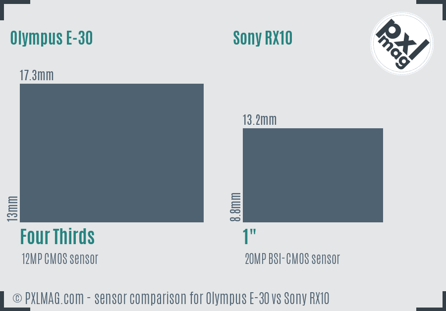 Olympus E-30 vs Sony RX10 sensor size comparison
