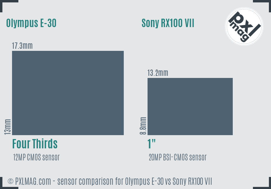 Olympus E-30 vs Sony RX100 VII sensor size comparison