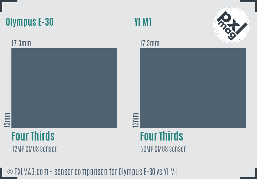 Olympus E-30 vs YI M1 sensor size comparison Olympus E-30 vs YI M1 sensor size comparison