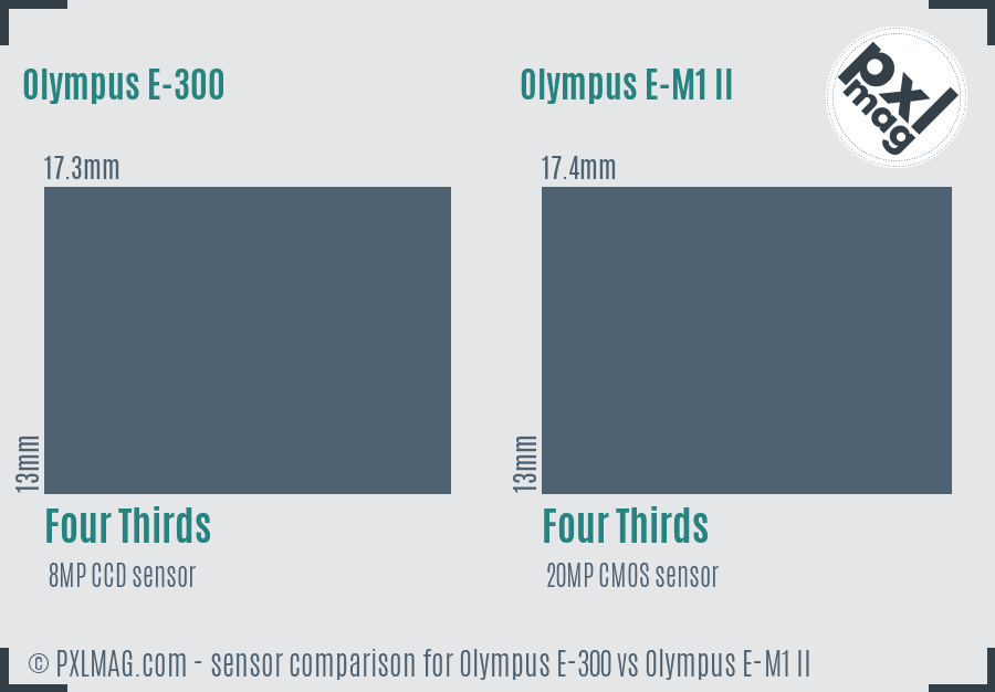 Olympus E-300 vs Olympus E-M1 II sensor size comparison