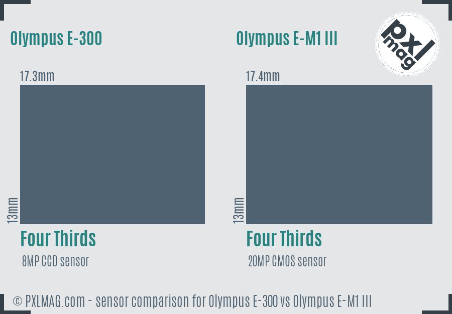 Olympus E-300 vs Olympus E-M1 III sensor size comparison