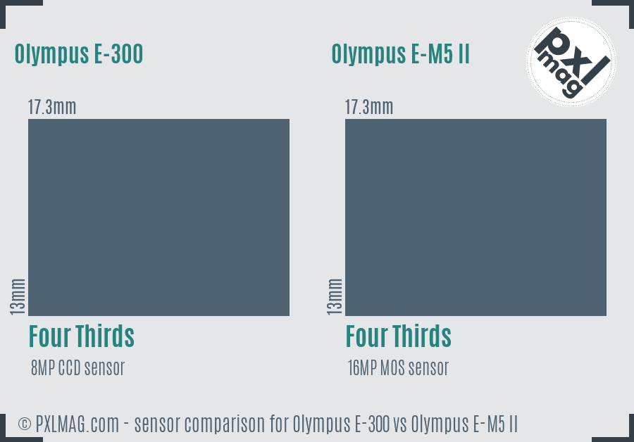 Olympus E-300 vs Olympus E-M5 II sensor size comparison