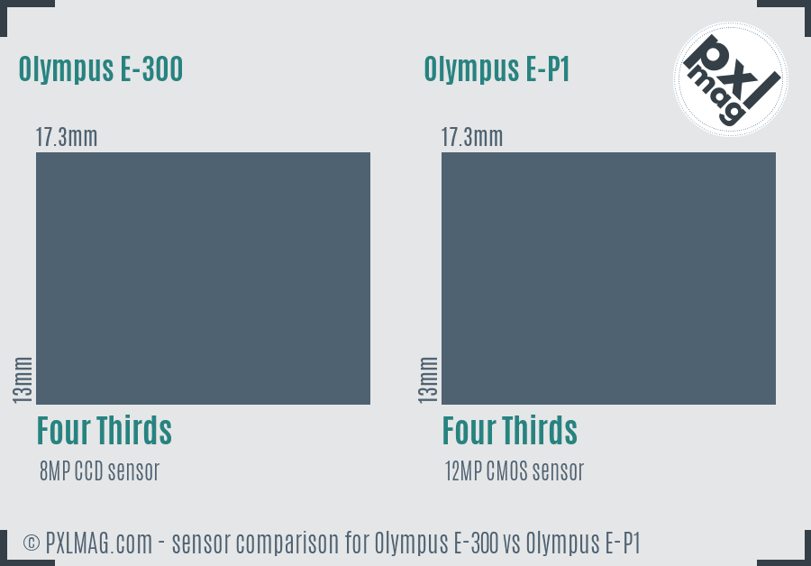 Olympus E-300 vs Olympus E-P1 sensor size comparison