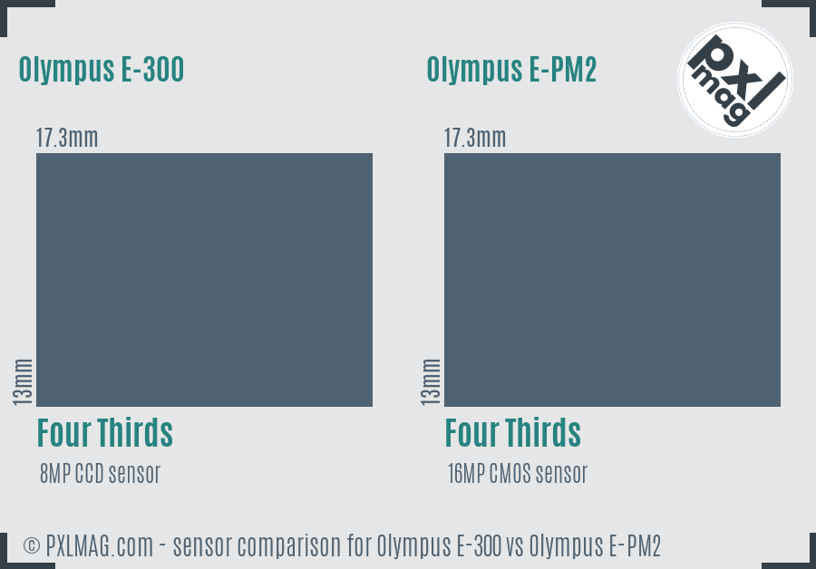 Olympus E-300 vs Olympus E-PM2 sensor size comparison