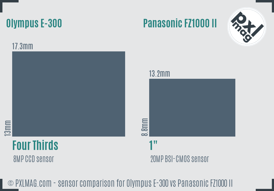 Olympus E-300 vs Panasonic FZ1000 II sensor size comparison