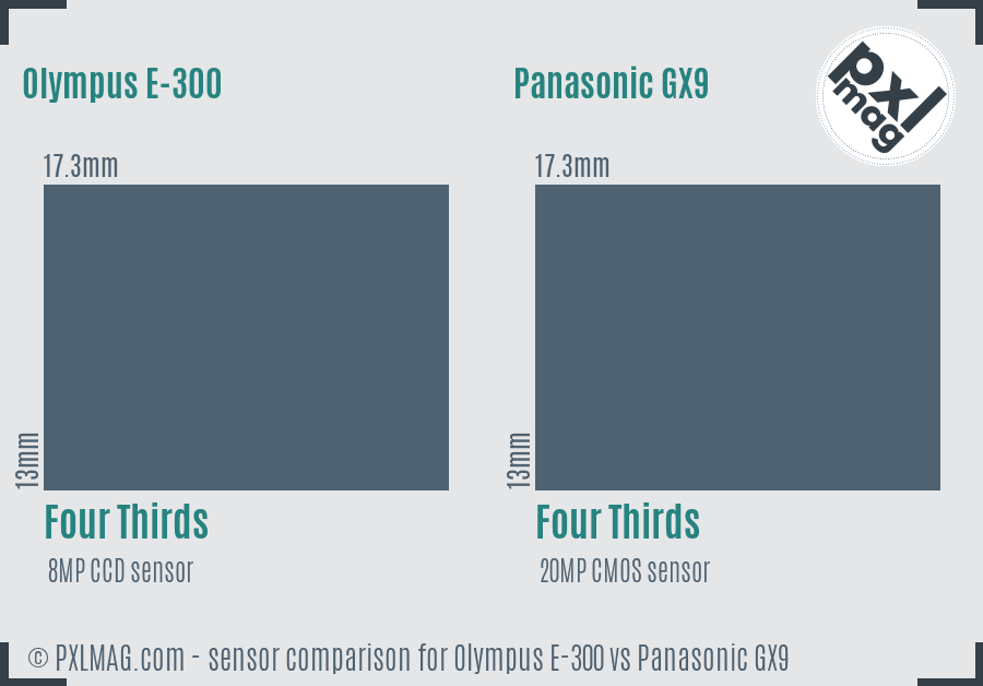 Olympus E-300 vs Panasonic GX9 sensor size comparison