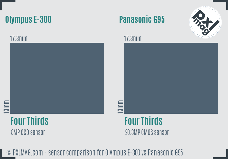 Olympus E-300 vs Panasonic G95 sensor size comparison