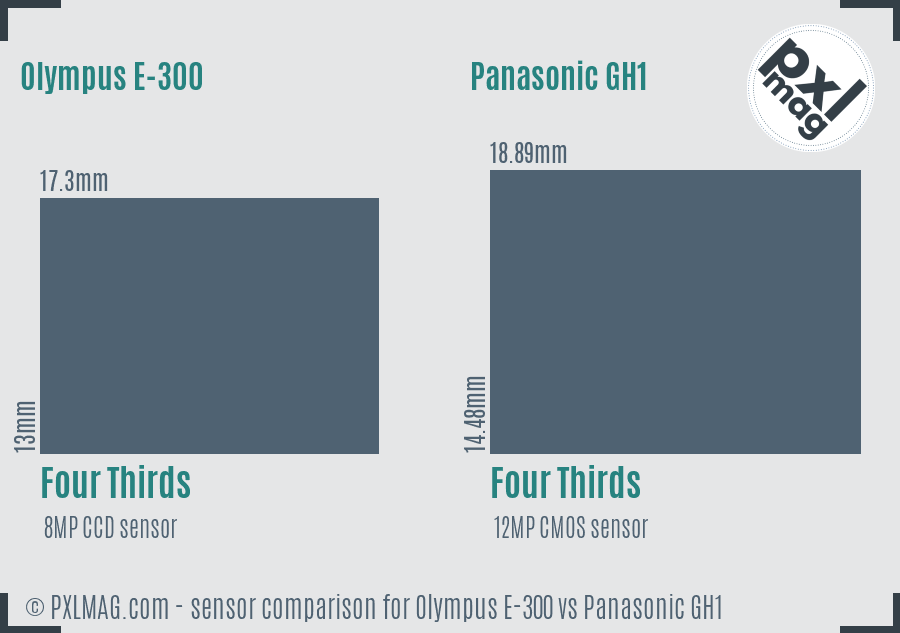 Olympus E-300 vs Panasonic GH1 sensor size comparison