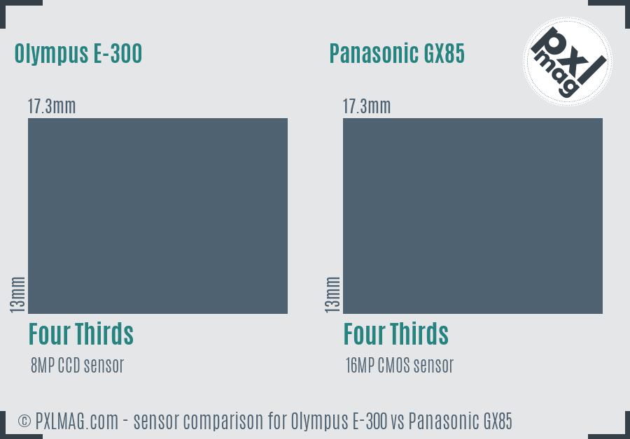 Olympus E-300 vs Panasonic GX85 sensor size comparison