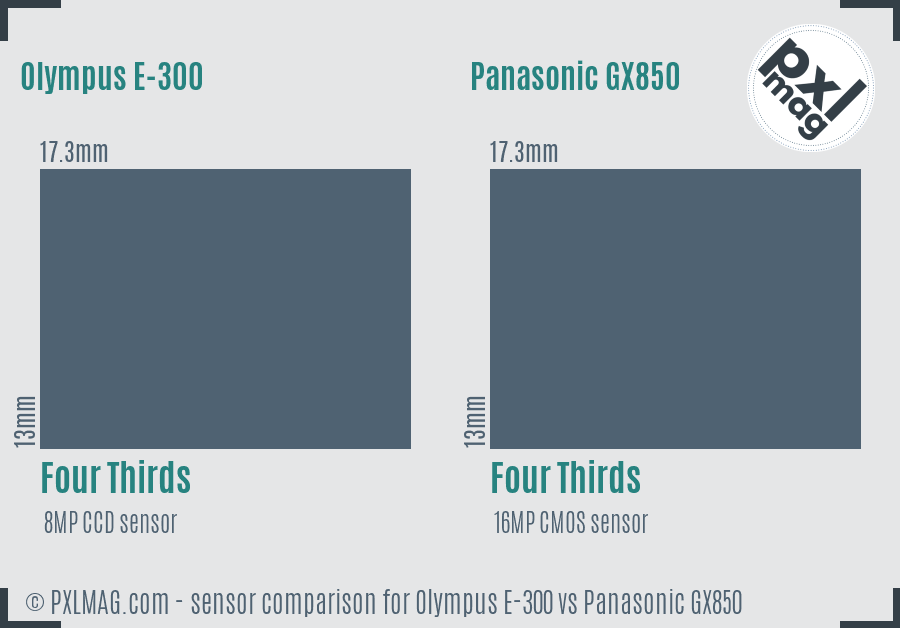 Olympus E-300 vs Panasonic GX850 sensor size comparison Olympus E-300 vs Panasonic GX850 sensor size comparison