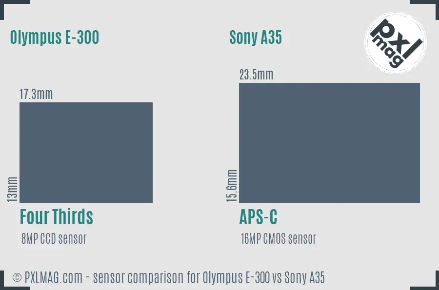 Olympus E-300 vs Sony A35 sensor size comparison