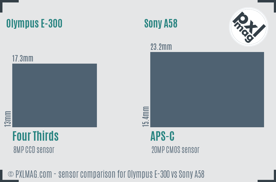 Olympus E-300 vs Sony A58 sensor size comparison
