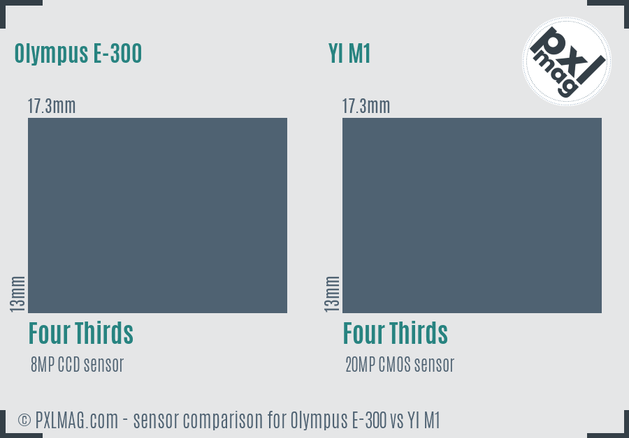 Olympus E-300 vs YI M1 sensor size comparison