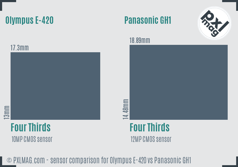 Olympus E-420 vs Panasonic GH1 sensor size comparison