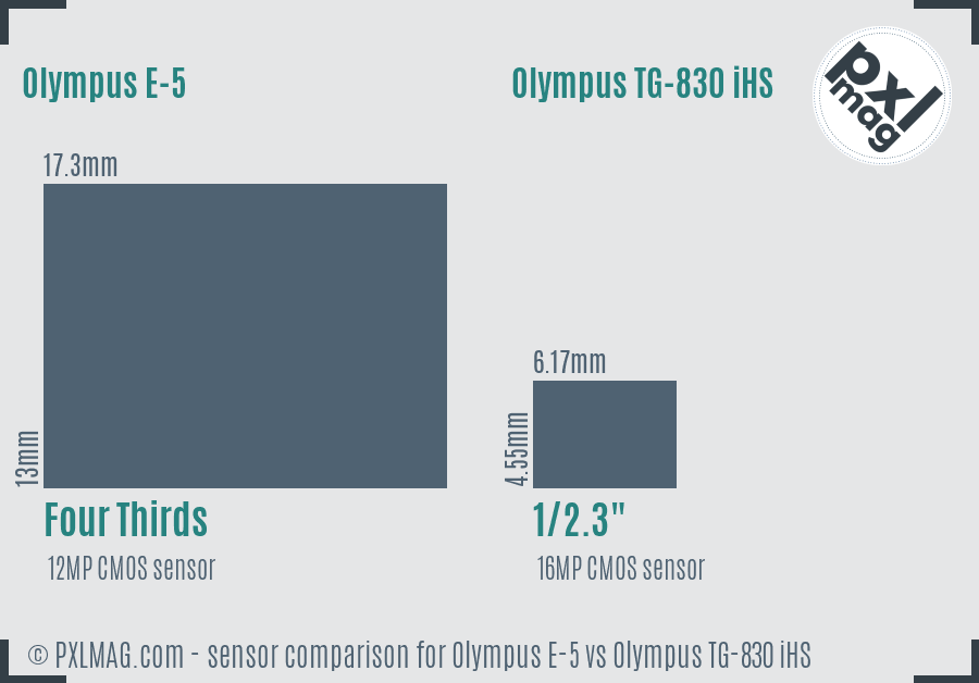 Olympus E-5 vs Olympus TG-830 iHS sensor size comparison