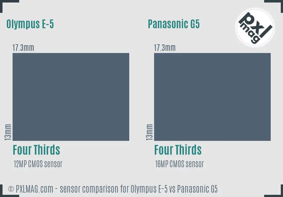 Olympus E-5 vs Panasonic G5 sensor size comparison