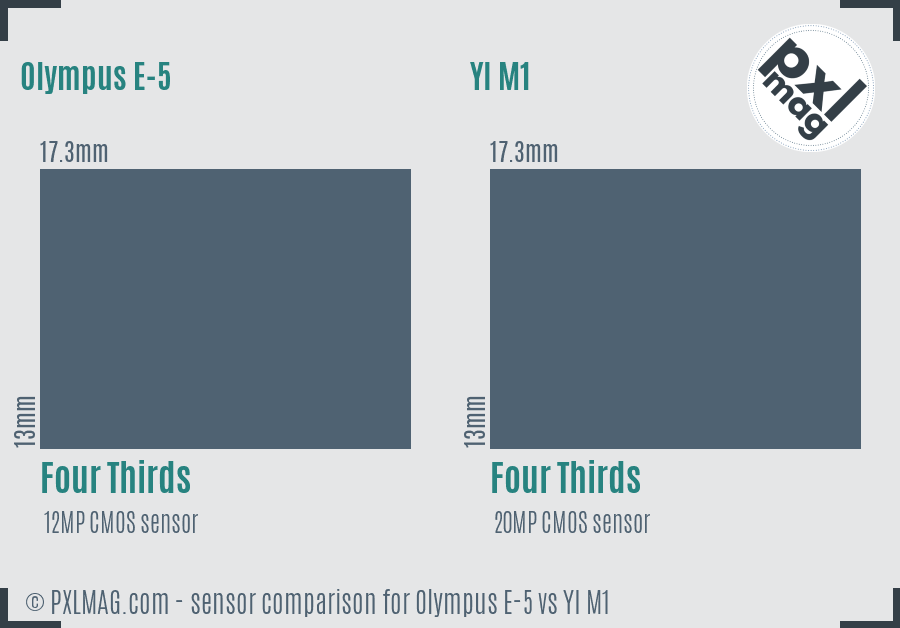 Olympus E-5 vs YI M1 sensor size comparison