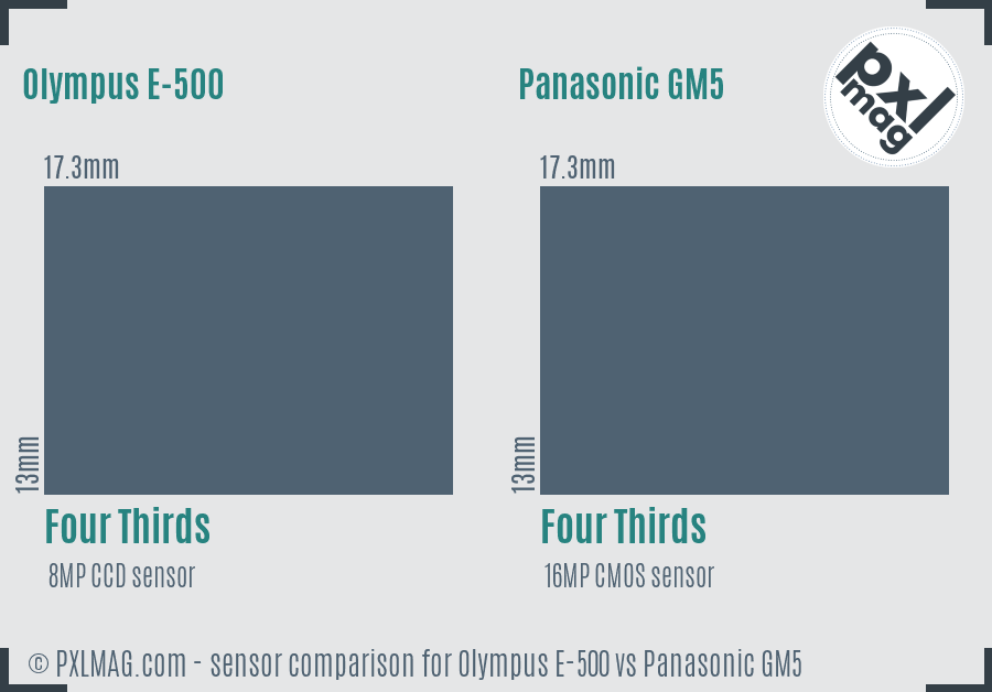 Olympus E-500 vs Panasonic GM5 sensor size comparison