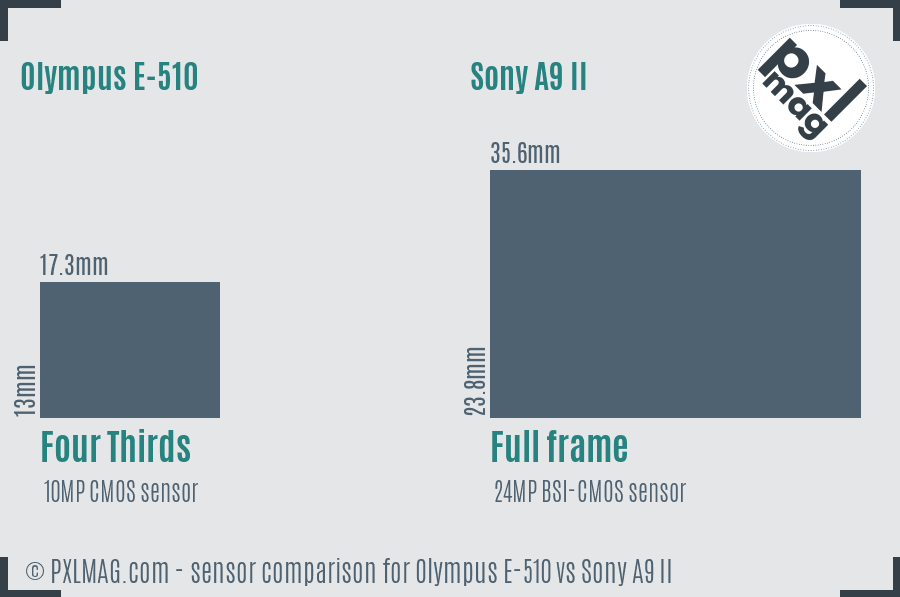 Olympus E-510 vs Sony A9 II sensor size comparison