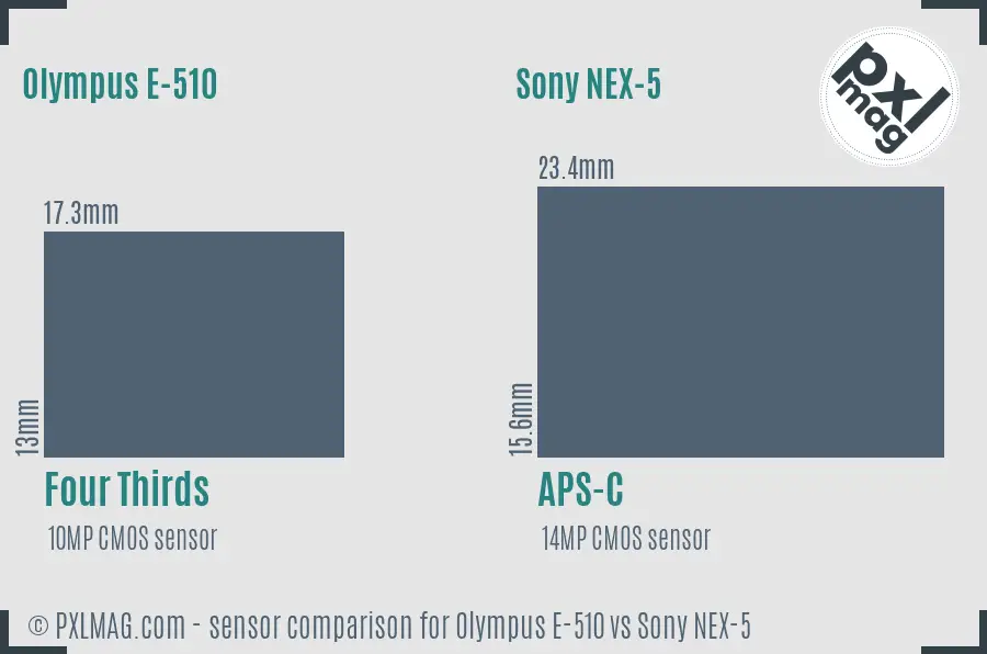 Olympus E-510 vs Sony NEX-5 sensor size comparison