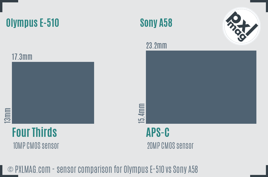 Olympus E-510 vs Sony A58 sensor size comparison