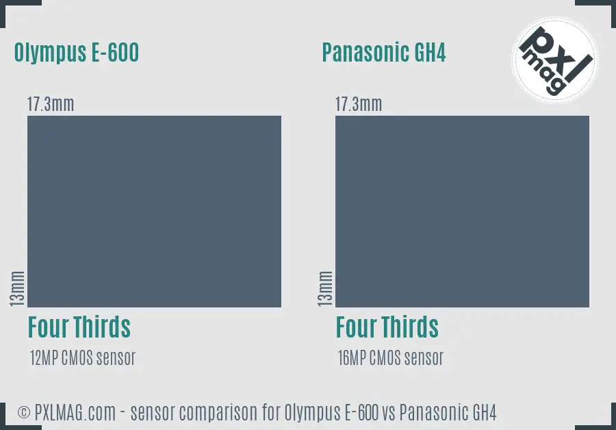 Olympus E-600 vs Panasonic GH4 sensor size comparison