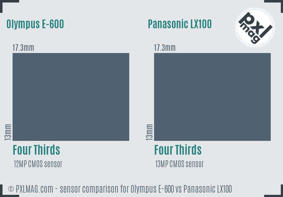 Olympus E-600 vs Panasonic LX100 sensor size comparison