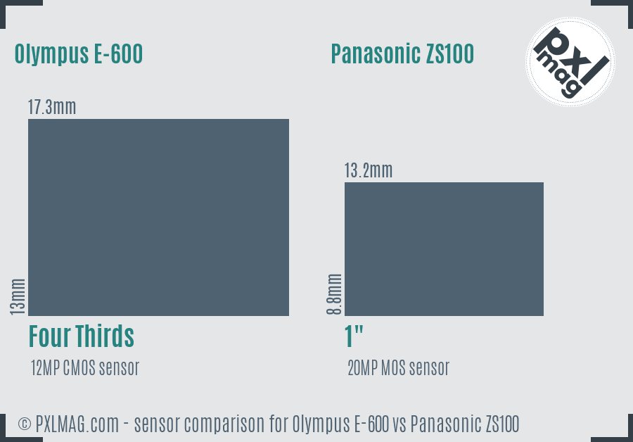 Olympus E-600 vs Panasonic ZS100 sensor size comparison