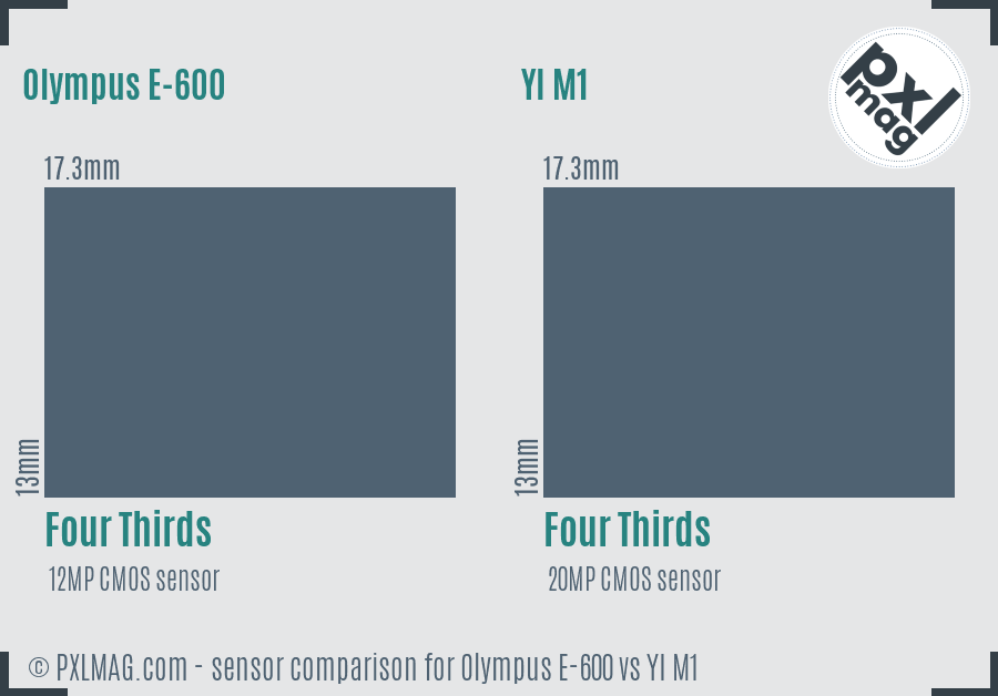 Olympus E-600 vs YI M1 sensor size comparison