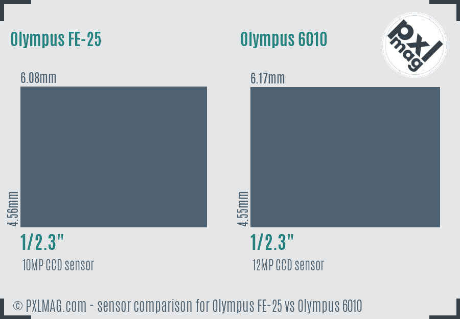 Olympus FE-25 vs Olympus 6010 sensor size comparison