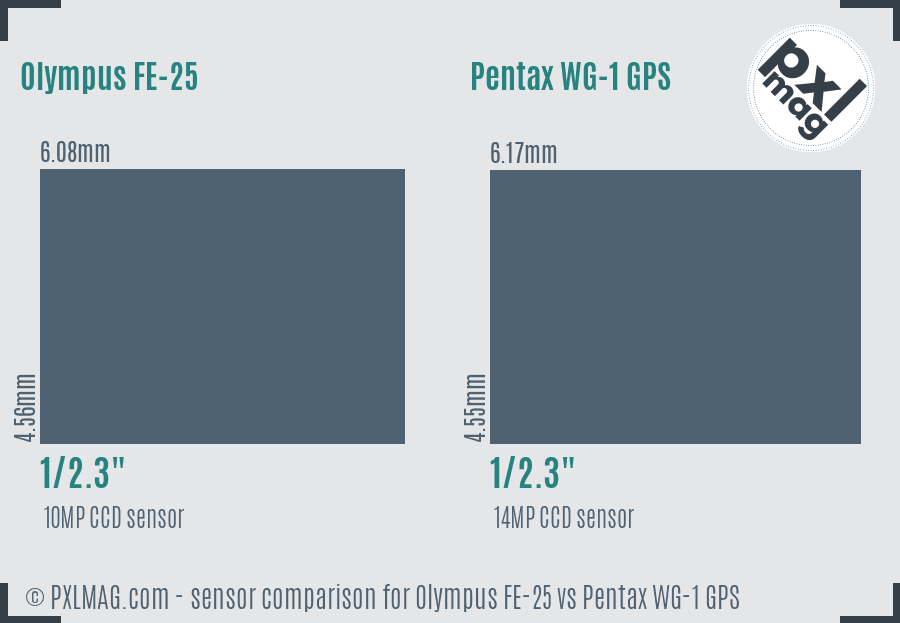 Olympus FE-25 vs Pentax WG-1 GPS sensor size comparison