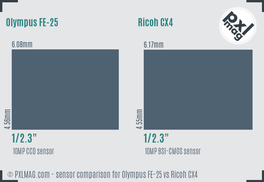 Olympus FE-25 vs Ricoh CX4 sensor size comparison