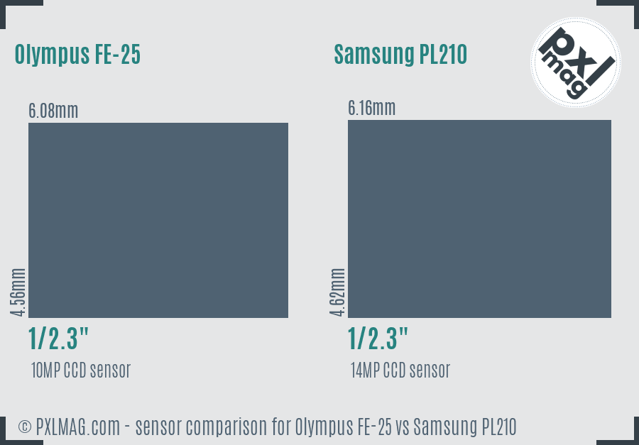 Olympus FE-25 vs Samsung PL210 sensor size comparison