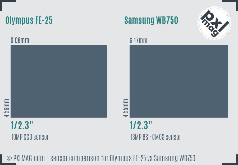 Olympus FE-25 vs Samsung WB750 sensor size comparison