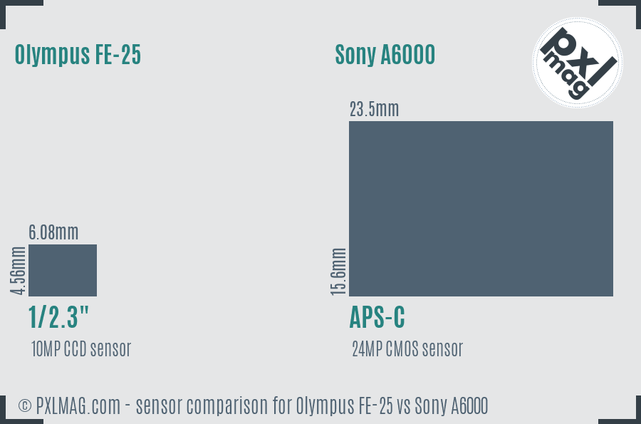 Olympus FE-25 vs Sony A6000 sensor size comparison