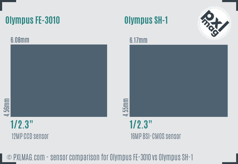 Olympus FE-3010 vs Olympus SH-1 sensor size comparison