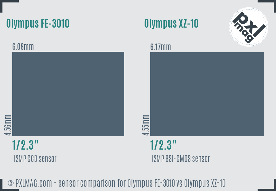 Olympus FE-3010 vs Olympus XZ-10 sensor size comparison