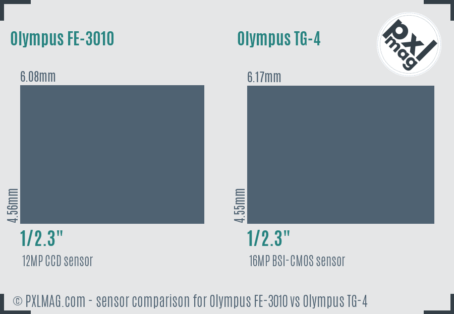 Olympus FE-3010 vs Olympus TG-4 sensor size comparison