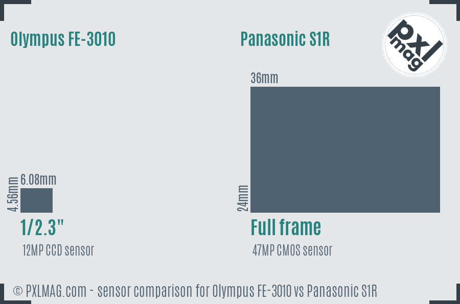 Olympus FE-3010 vs Panasonic S1R sensor size comparison