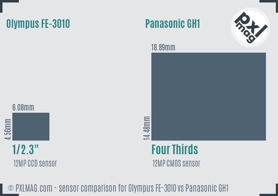 Olympus FE-3010 vs Panasonic GH1 sensor size comparison